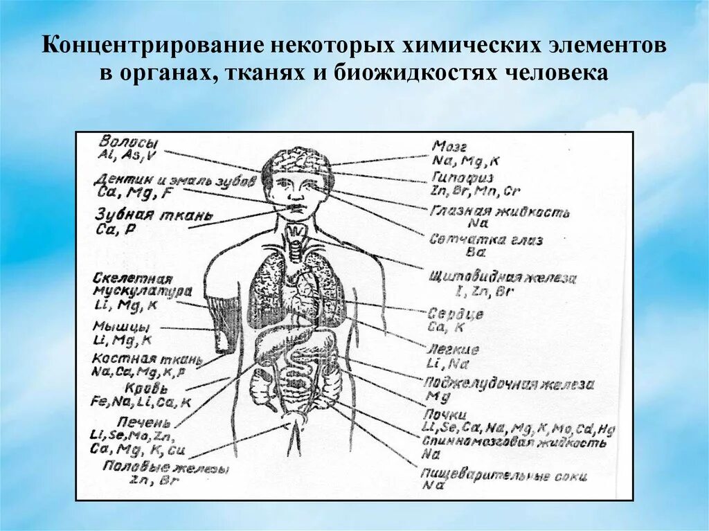 Элементы в теле человека. Токсические химические элементы. Концентрирование химических элементов в химии. Орагены химические элементы. Химические элементы в организме человека картинки.