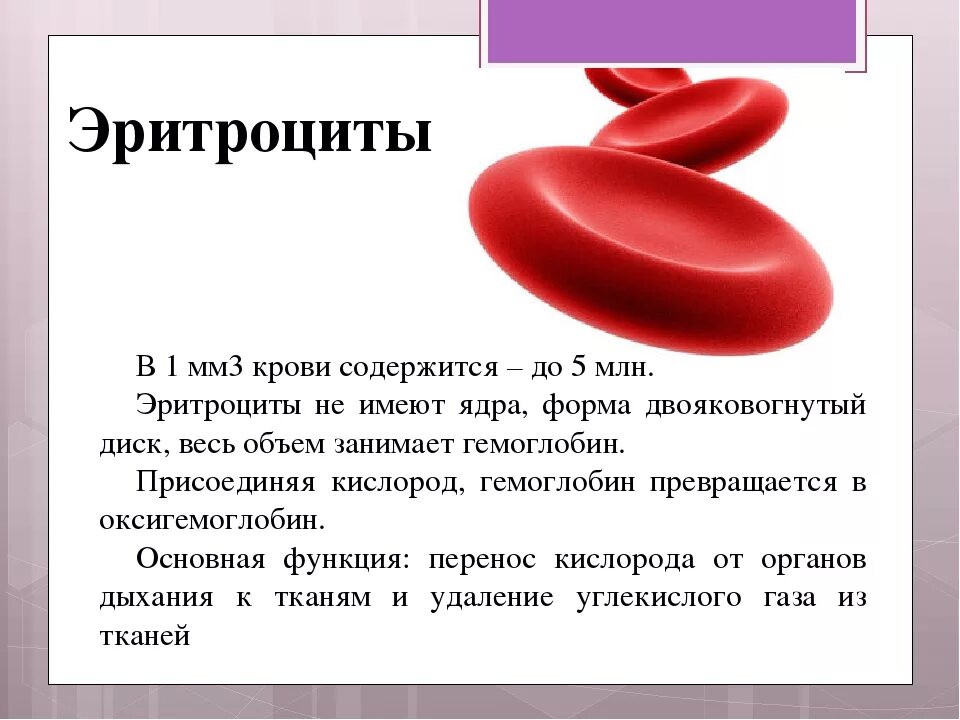 Содержание в крови три. Норма эритроцитов в 1 мм3 крови. В норме в 1 мл крови содержится эритроцитов. Эритроциты в 1 мм3 крови. Содержание эритроцитов в 1 мм3.