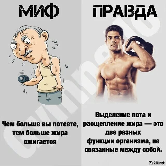 Мифы и правда про. Миф правда. Миф правда фитнес. Миф правда в картинках. Правда или миф.