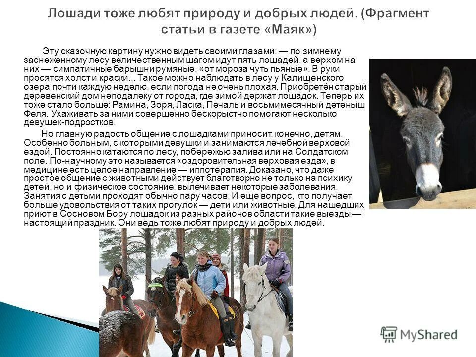 Потешка ваня ваня простота купил лошадь без хвоста. Купили лошадей ку повозкубахти. Каменка и лошади. Стихи про лошадей красивые. Смешная шутка про коня.