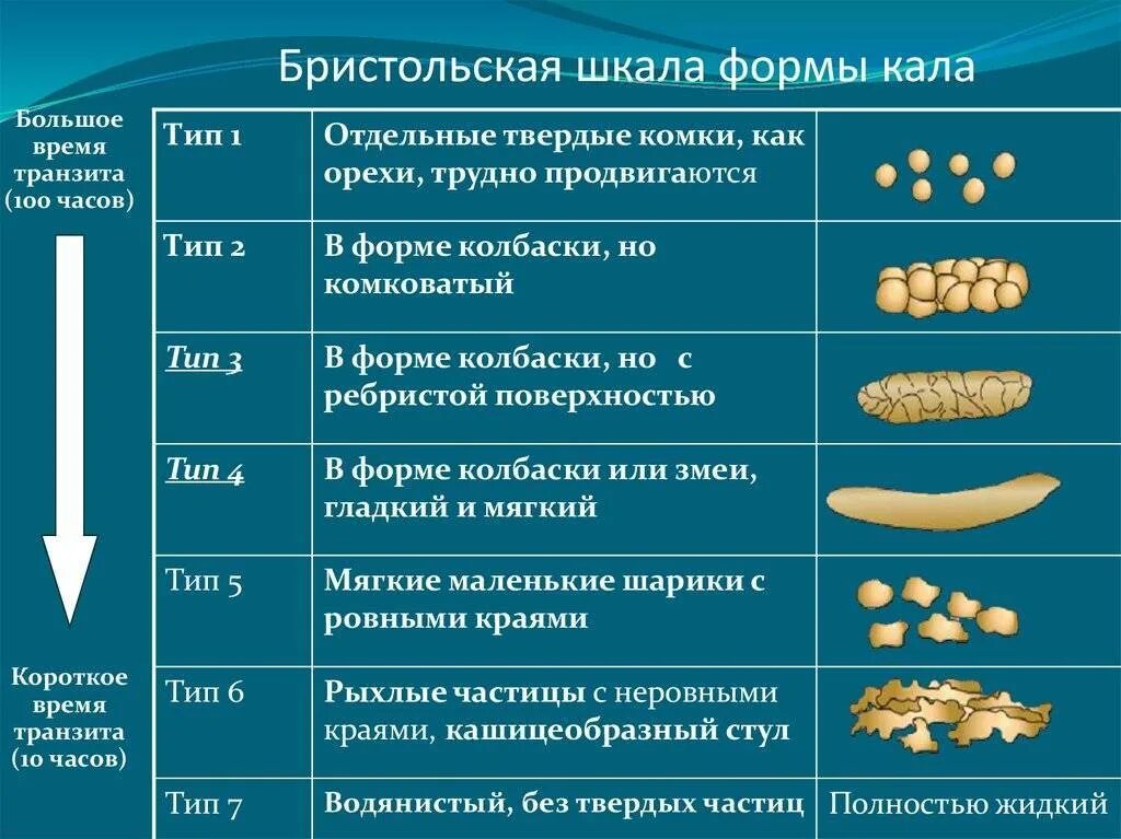 Почему кал белый у взрослого человека причины. Бристольской шкале формы кала. Бристрльская шкала нормы кала. Форма стула по Бристольской шкале. Бристольская шкала формы кала таблица.