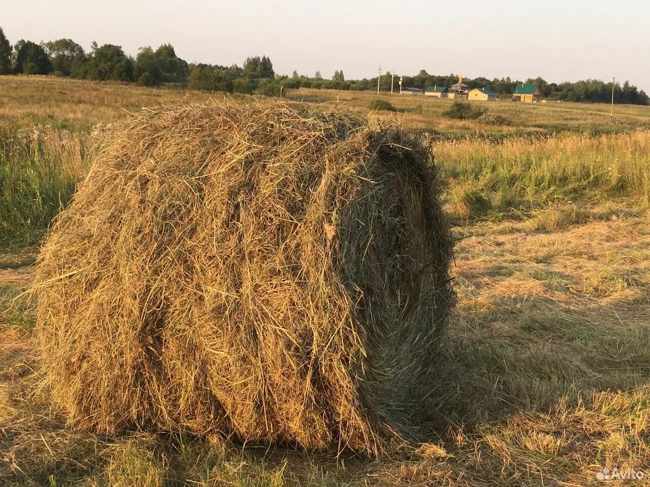 Лен сен. Льняная солома. Лен сено. Солома льна долгунца. Мякина льна.