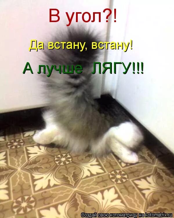 утро работа мем. смешное про рано вставать. подъем с добрым утром. утром надо спать. слова песни вставай с первыми лучами.