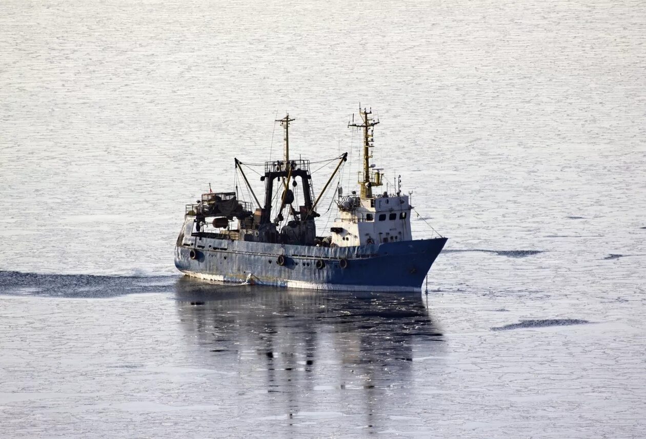 Подход судов владивосток. Островной 9 судно интеррыбфлот. Суда находящиеся в портах кореи. Подход судов владивосток. Судно охотск краболов.