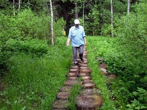 Гать орловская область. Станция гать. Сад гать. Галыгинская гать. Сад гать.