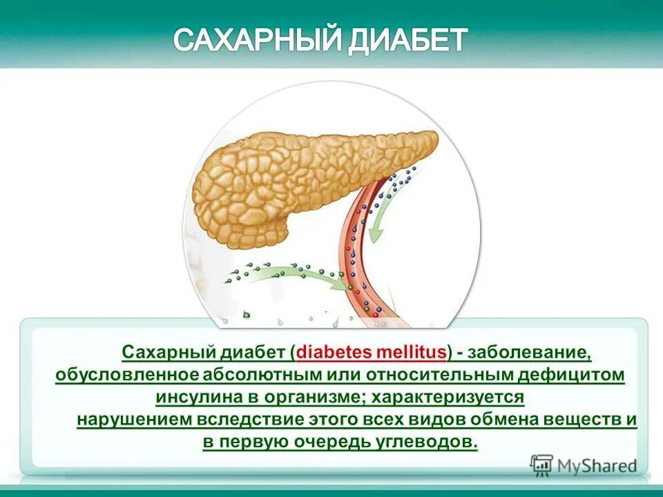 Железа регулирующая работу других желез