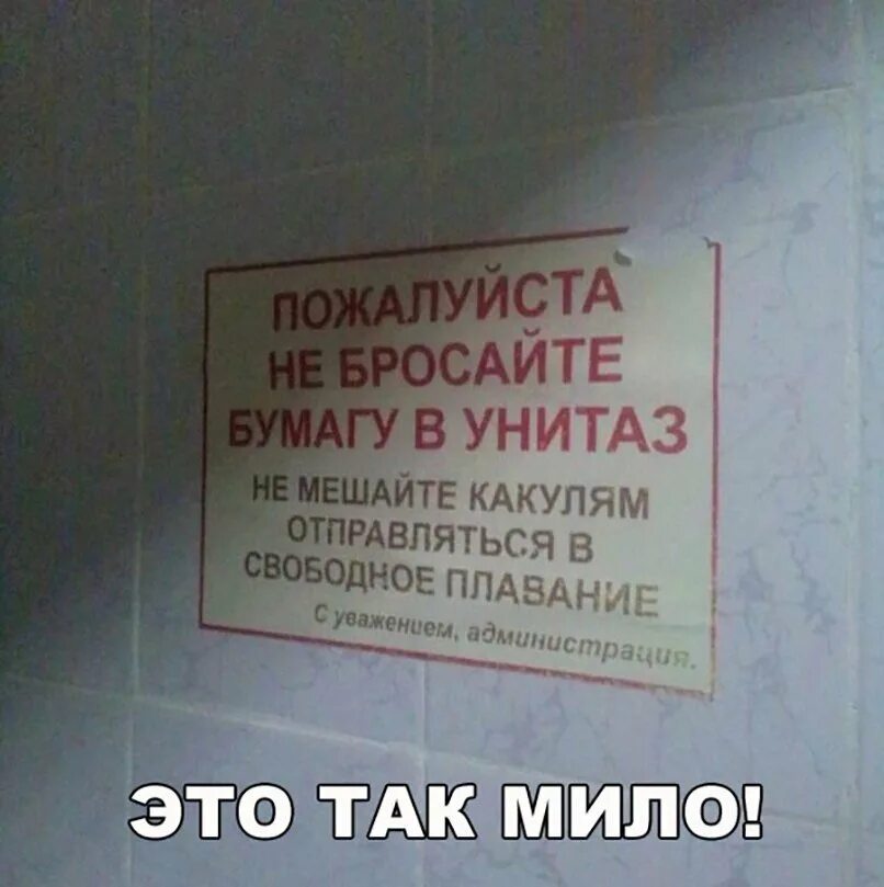 Ничего не кидала. Объявление не бросать бумагу в унитаз. Бумагу в унитаз. Бумагу прикольная в унитаз не бросать. Табличка не бросайте бумагу в унитаз.