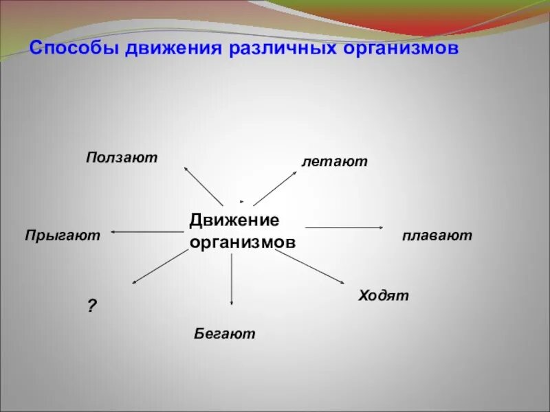 Движение 6 класс. Способы движения живых организмов биология 6 класс. Способы передвижения организмов. Движение живых организмов 6 класс таблица. Движение организмов таблица.