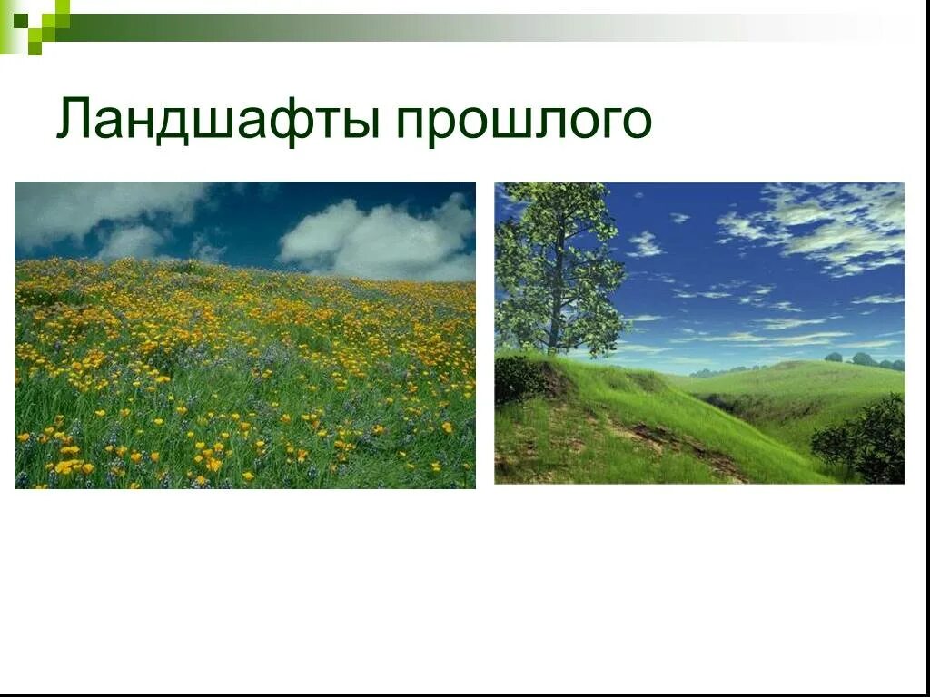 Степи и лесостепи 8 класс полярная звезда. Степи и лесостепи 8 класс. природное сообщество степь. лесостепи и степи география 8 кл. урок по теме лесостепи и степи презентация раменская.