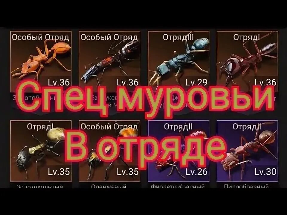 Масса творожная ковернино. Превосходство лучшего молочная продукция. Хорошо особый. Хорошо особый. Совершенно секретно.