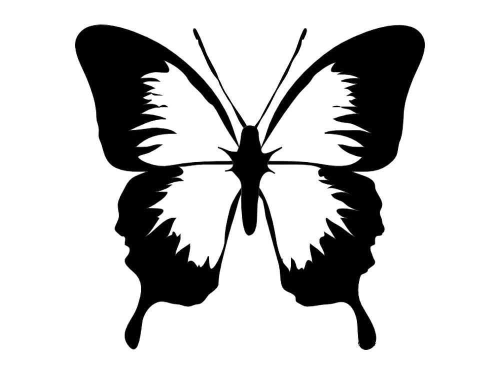 Шаблон бабочек для печати. Трафареты бабочки. Трафарет бабочки на стену. Трафарет бабочки для вырезания. Бабочка рисунок.