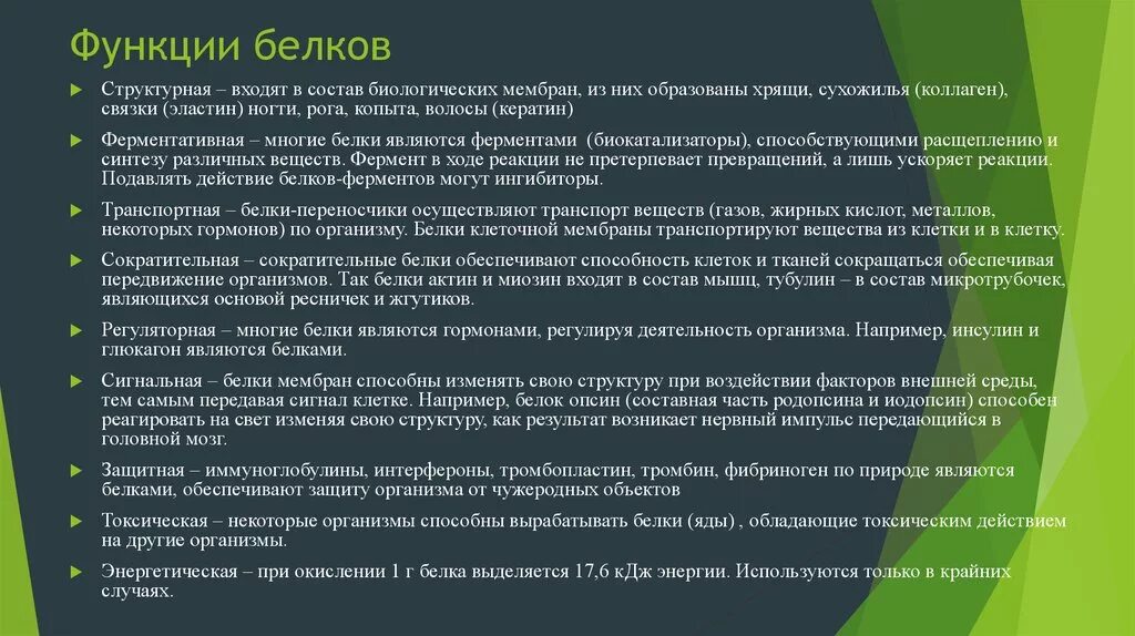 Биологическая роль и функция белков. Функции белков 10 класс биология. Биологическая функция белков и их характеристика. Белки биология функции. Пояснить главную функцию белков