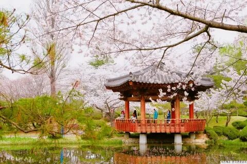 East korea