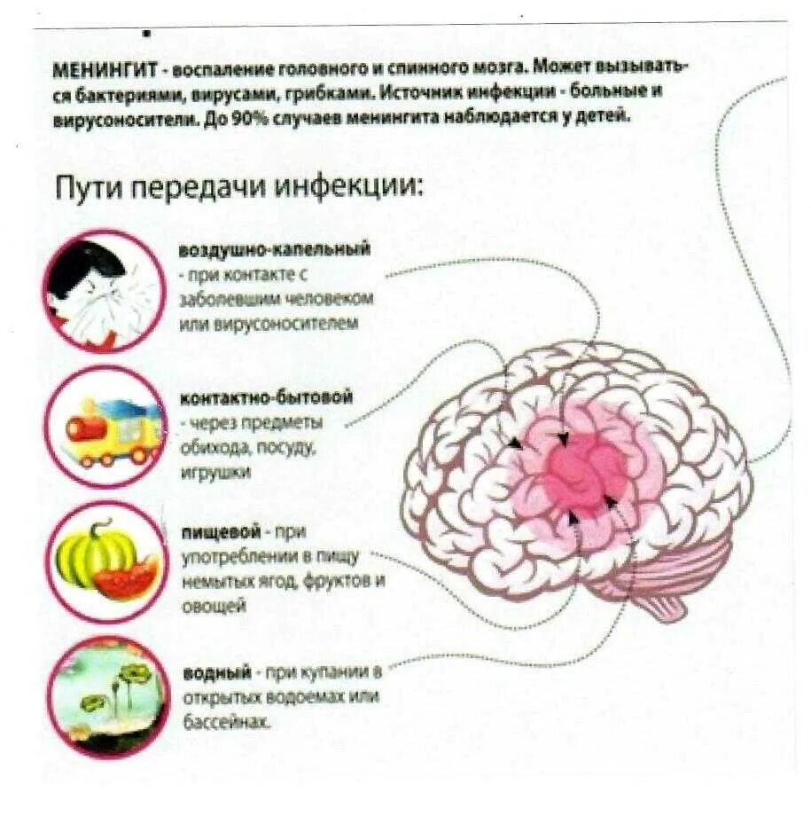 Можно ли заболеть менингитом ходя без шапки. Бактериальным молниеносным менингитом. серозный бактериальный менингит. инфекционный менингит способ передачи. острый менингит симптомы.