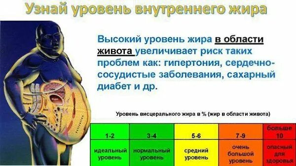 норма содержания жира воды и мышц в организме таблица. висцеральный жир норма у женщин. уровень висцерального жира у мужчин норма. норма жира в организме. висцеральная жировая ткань норма.