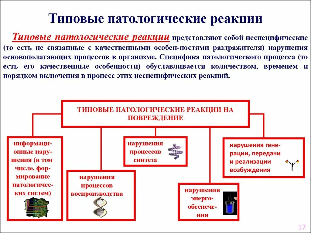 Причины патологических процессов. Типовые патологические реакции. Патологическая реакция примеры. Типовые патологические процессы. Свойства типового патологического процесса.