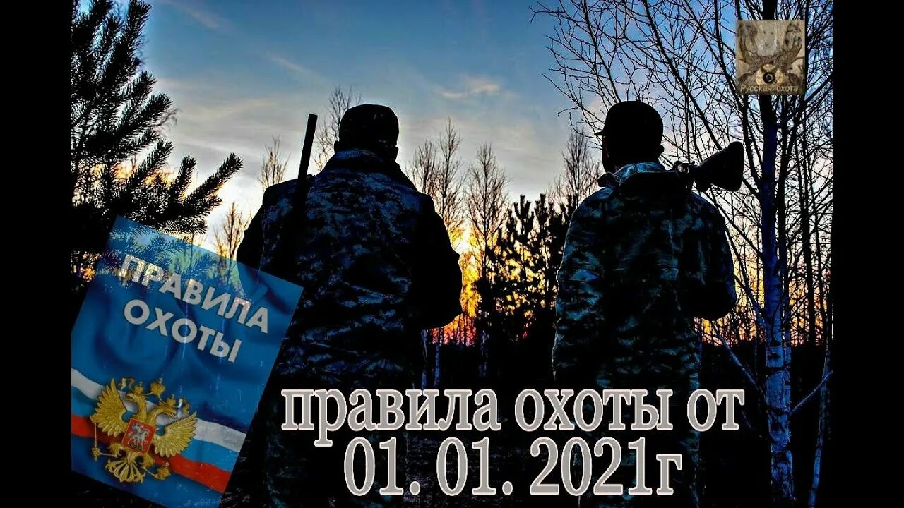 Правила охоты в московской области 2023. Правила охоты 2021. Новые правила охоты 2021 года. Новые правила охоты. Правила охотника.