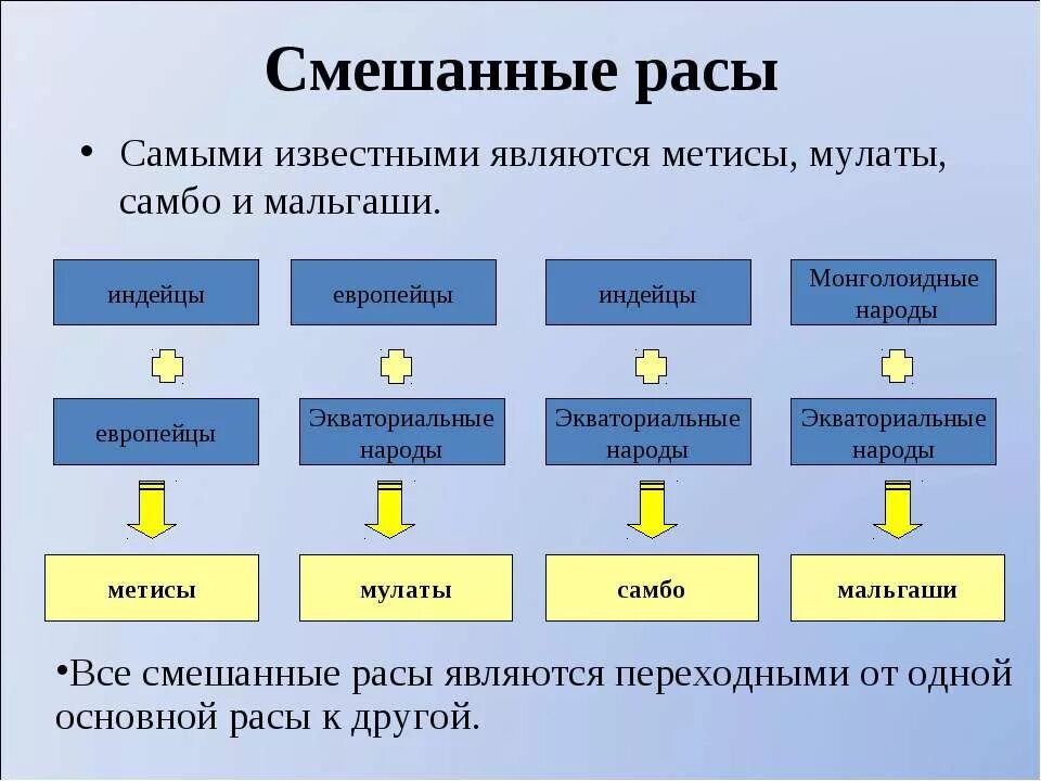 Метисы и мулаты в чем разница. Смешанные расы. Смешанные расы людей. Виды смешанных рас. Таблица смешанных рас.