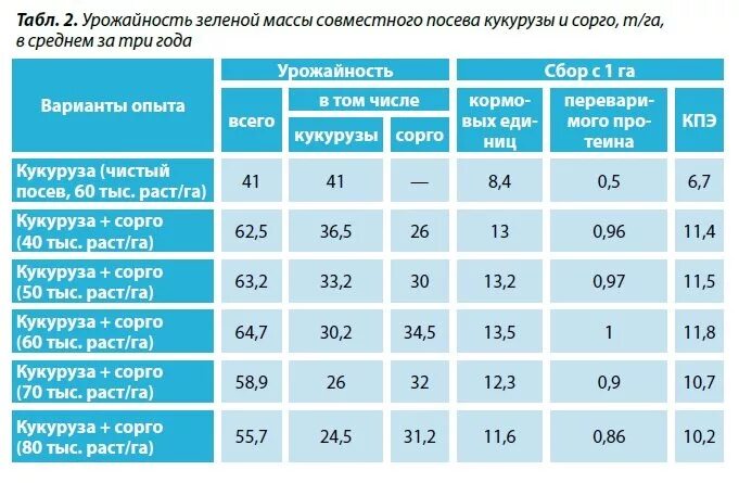 Максимальная урожайность кукурузы. Урожайность силосной кукурузы с 1 га. Средний сбор зерна кукурузы с 1 га. Средняя урожайность кукурузы на зерно с 1 га. Урожайность кукурузы на силос с 1 га.