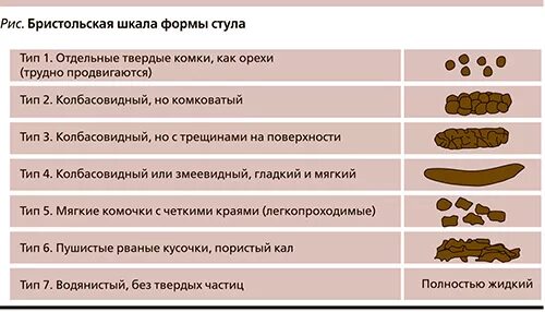 Какой кал должен быть у взрослого человека. Нормальный стул у взрослого.