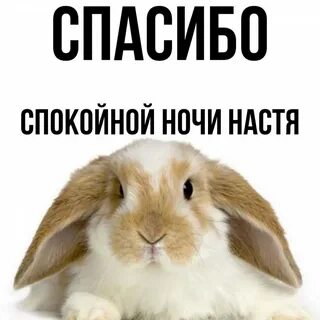 Спокойной ночи насте