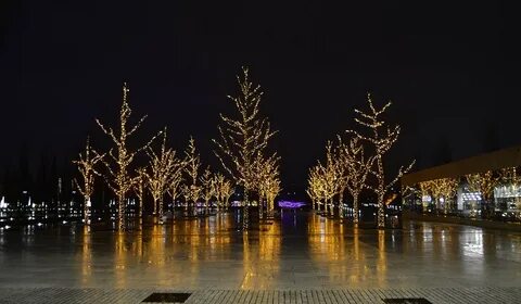 8 декабря краснодар