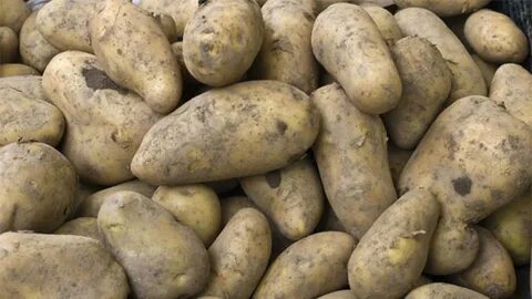 Египетский картофель