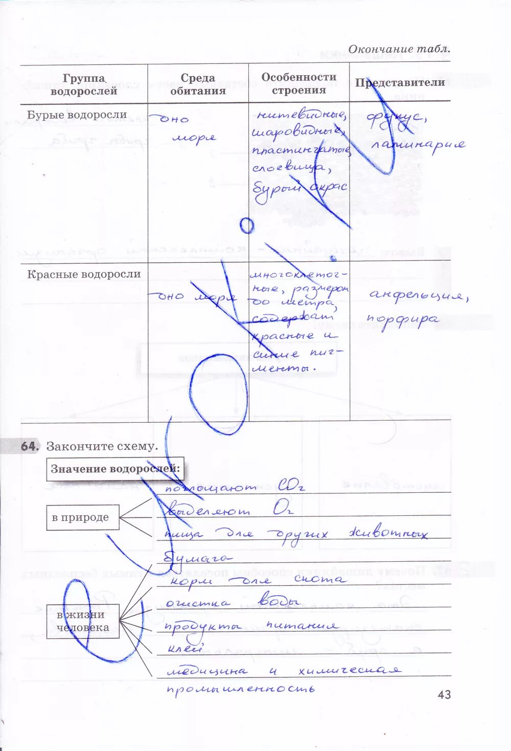 Пасечник в.в. Пасечник в.в. биология. 5 Класс. Рабочая тетрадь. Биология 5 класс рабочая тетрадь Пасечник. Пасечник рабочая тетрадь 5 класс гдз. Биология тетрадь 5 класс тетрадь Пасечник. Готовое домашнее задание по биологии 5