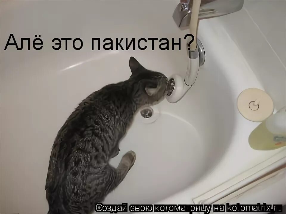 Алло это пакистан. Алло это пакистан нам нужен один килограмм. Алло это пакистан. Алло это пакистан нам нужен один. Мем алло это пакистан.