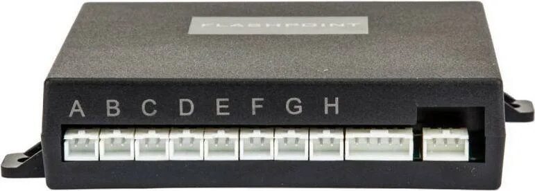 Pt fp