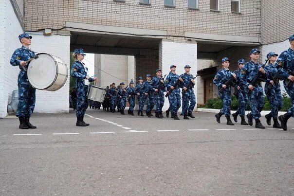 Группы предназначения фсин. Училище ФСИН Вологда. ВИПЭ ФСИН России. ВИПЭ ФСИН Вологда. ВИПЭ ФСИН России курсант.