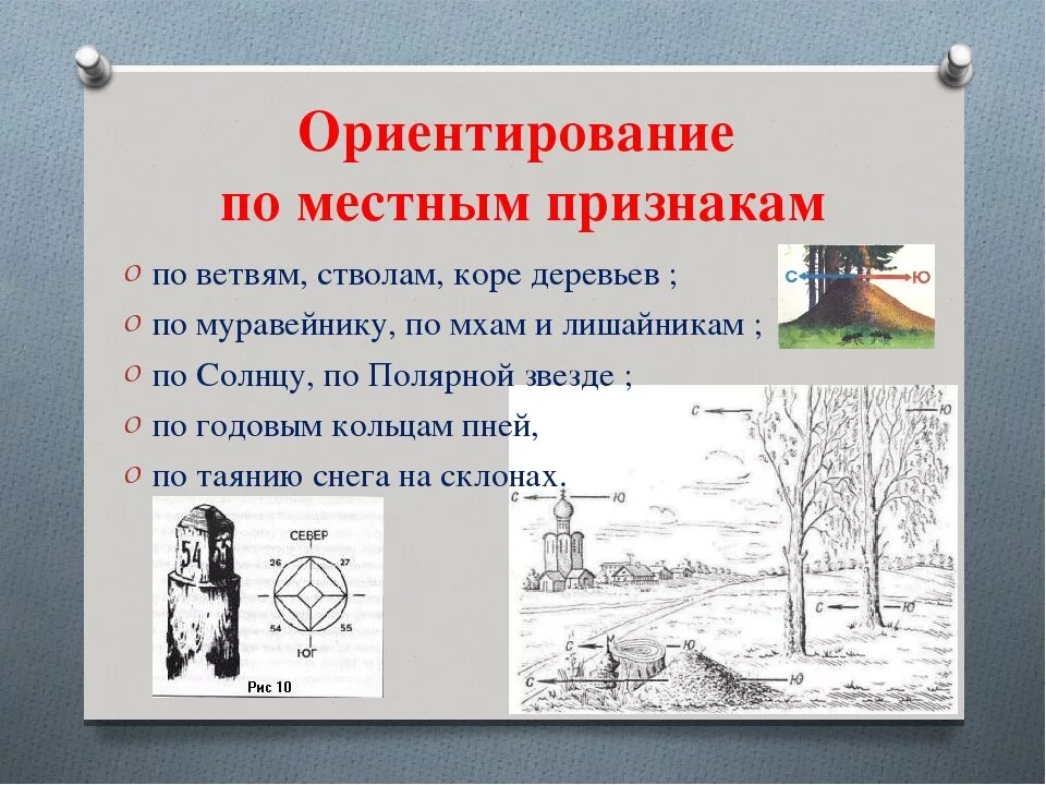 Признаков рисунок 5 2. Ориентирование по местным признакам. Ориентирование по местности по местным признакам. Ориентирование по местным ориентирам. Ориентация на местности по местным признакам.