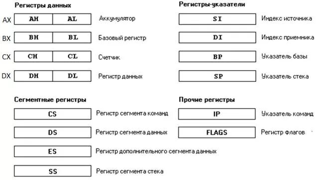 Регистр 25. Регистры процессора CX. Регистры данных ассемблер. Регистры процессора ассемблер. Регистры общего назначения ассемблер.