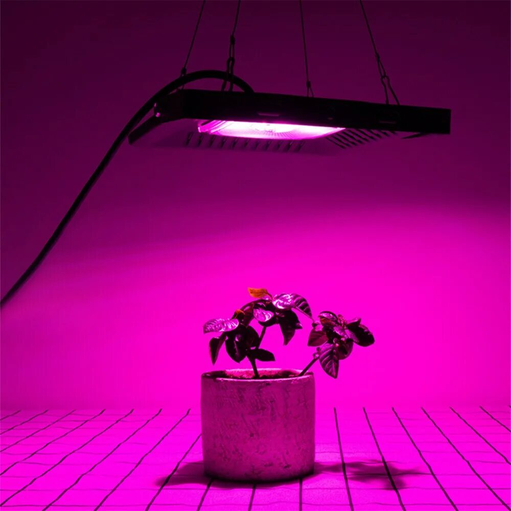 Фитолампа светодиодная для растений полного спектра. Фитолампа для растений led grow Light 110w. Фитосветильник полного спектра 200вт. Фитолампа светодиодная для растений 50вт. Фитолампа для растений 50 Вт.