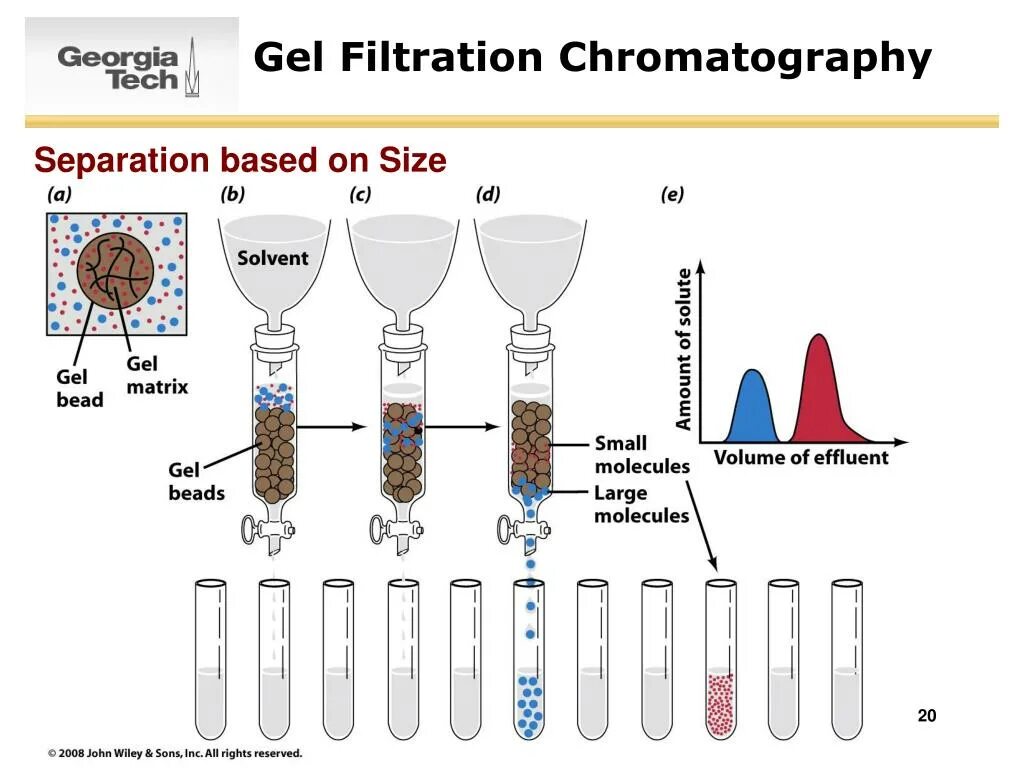 Разделение пигментов листа метод. Gel Filtration Chromatography. Опыт цвета хроматография. Хроматография пигментов. Size exclusion Chromatography.