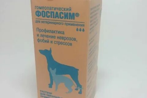 Простатит у собак