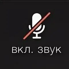 Шаман отключили микрофон