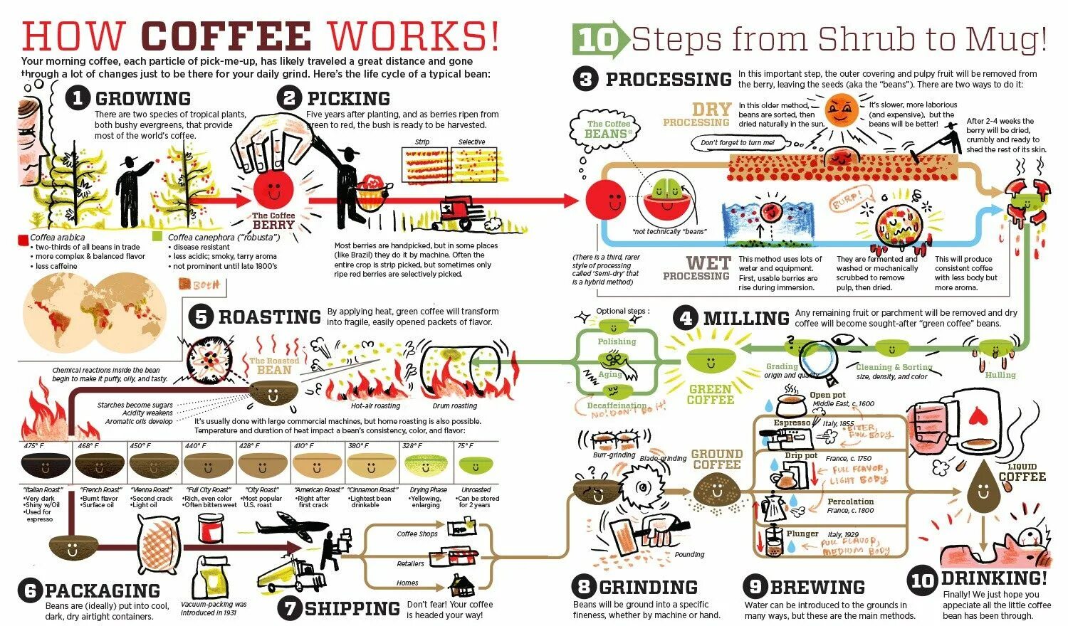 How is your morning. Инфографика кофе. Обжарка кофе инфографика. Кофе в зернах инфографика. Факты про кофе инфографика.