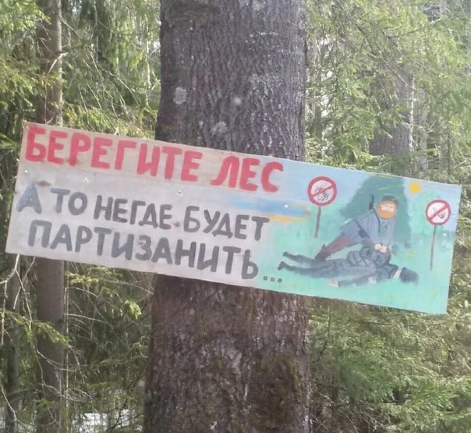 Чем дальше в лес тем толще партизаны. Берегите лес партизанить. берегите лес а то не где будет партизанить. берегите леса партизаны. береги лес негде будет партизанить.
