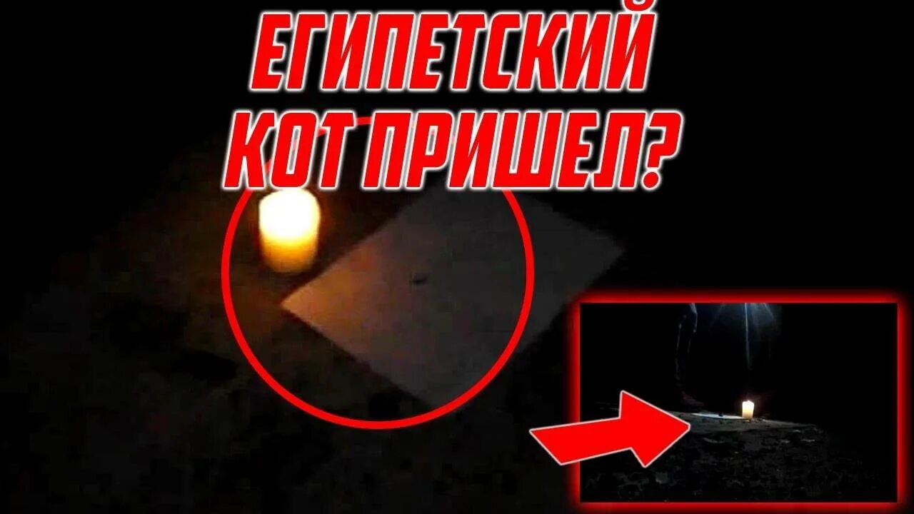 Как вызвать кота. Вызов египетского кота исполняющего желания. египетский кот дух исполняющий желания. вызов духов египетский кот. египетский кот вызов духа.