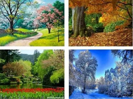 Жетілген жезөкшелердің фотосуреттері мен суреттері