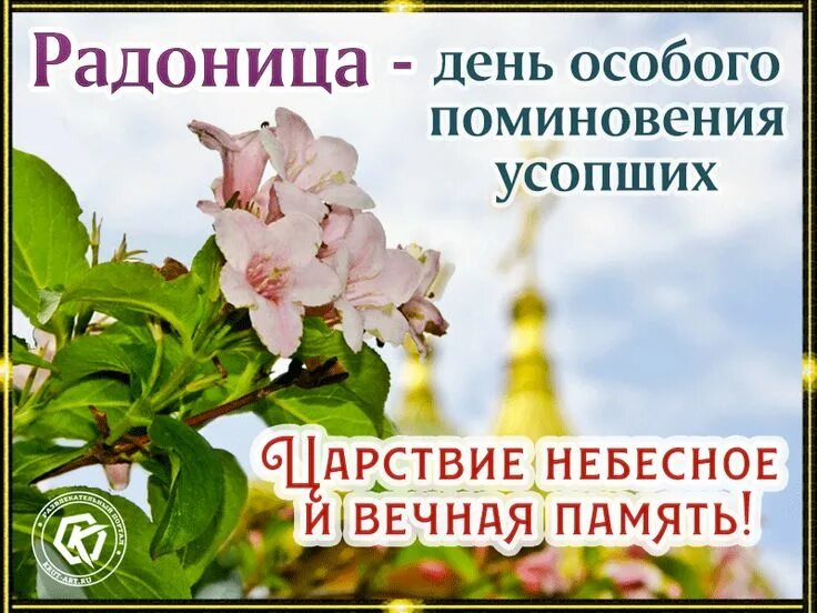 Особый день. Особый день в году. Особый день в году. Особая дата. Особенный день.