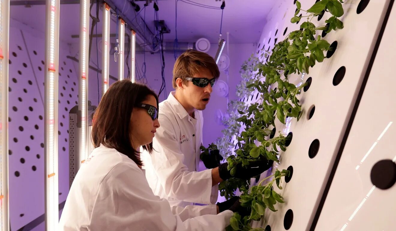 Growing science. Аэропоника на Марсе. Аэропоника в космосе. На Марсе выращивают растения. Биологи вырастили.