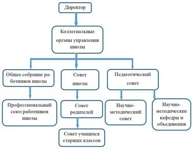 Обязательные коллегиальные органы