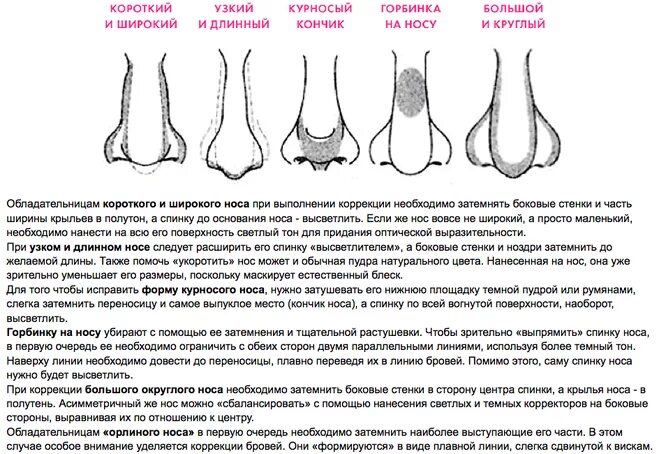 Как определить форму члена. Типы форм Носов. Формы носа. Типы формы носа. Форма носа названия.