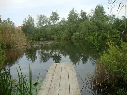 Снт мечта поркузи