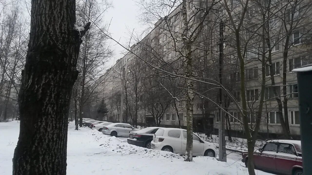 Ул димитрова индекс санкт петербурга. Димитрова 16 к 1 санкт-петербург. Улица димитрова санкт-петербург фото. Санкт-петербург фрунзенский район улица димитрова. Ул димитрова индекс санкт петербурга.