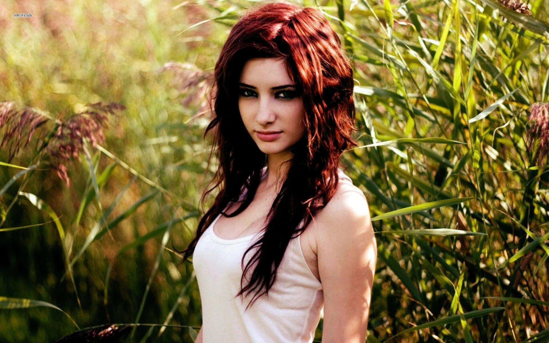Что такое beautiful