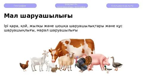 Дев мастурбация жасайды және оны телефонына түсіреді.