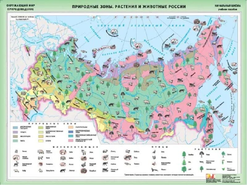 Животные природных зон 4 класс. Карта природных зон России с названиями природных. Карта природных зон России и их обитатели. Карта природных зон России животные. Природные зоны и биологические ресурсы карта.